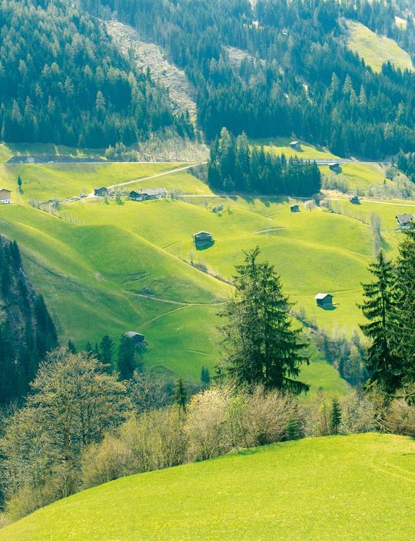 Schoesserhof Villa Zell am Ziller Buitenkant foto
